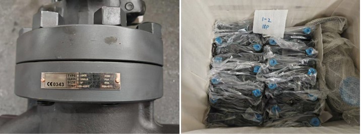 Forged Steel Gate Valve