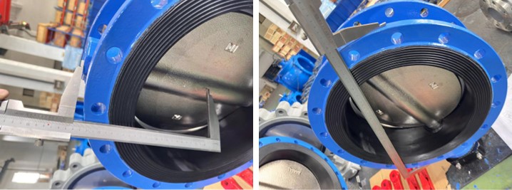 Concentric Butterfly Valve