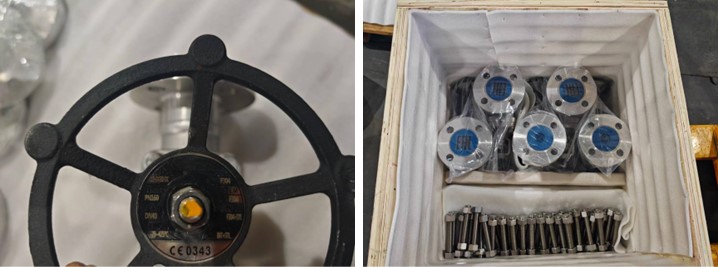 Straight Flange Globe Valve