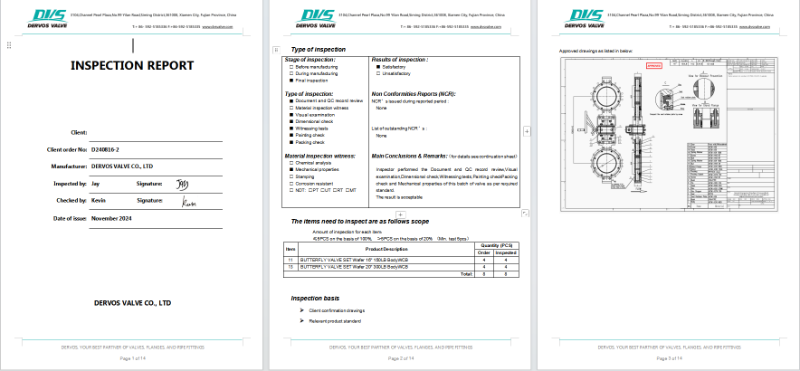 Double Offset Butterfly Valve 