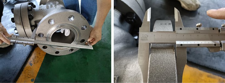 Swing Check Valve 