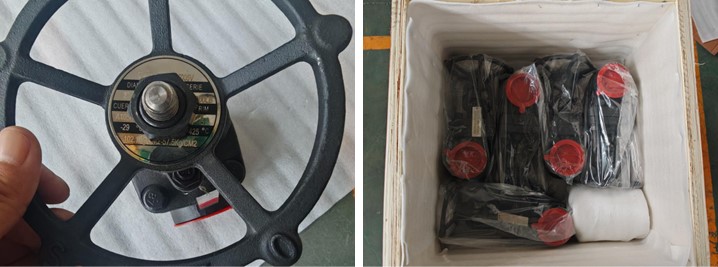 Forged Steel Gate Valve