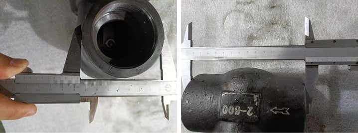 Swing Check Valve