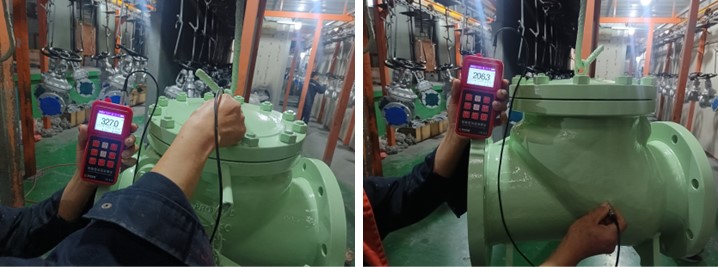 Swing Check Valve