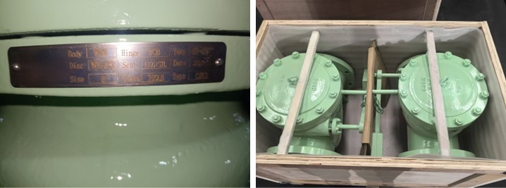 Swing Check Valve