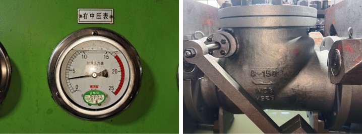 Swing Check Valve