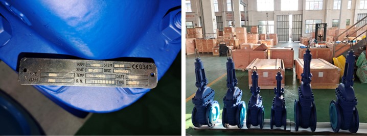 Cast Steel Gate Valve