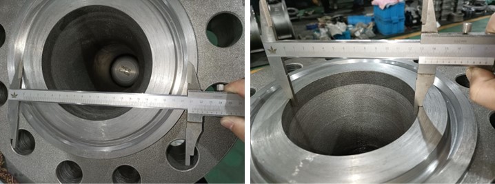 Axial Flow Check Valve 
