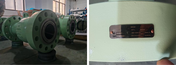 Axial Flow Check Valve