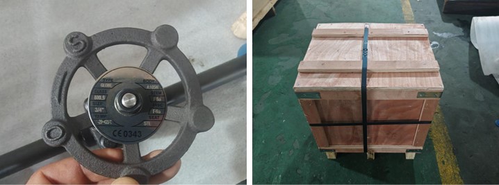 Forged Steel Globe Valve