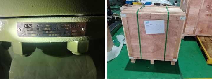 Swing Check Valve