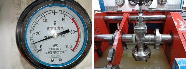 Angle Type Needle Globe Valve