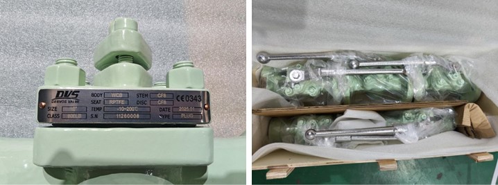 Soft-Seated Non-Lubricated Plug Valve