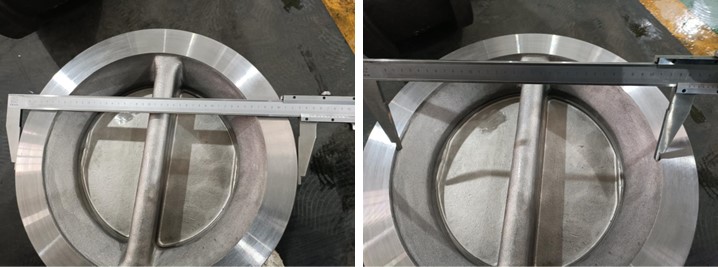 Dual Plate Check Valve