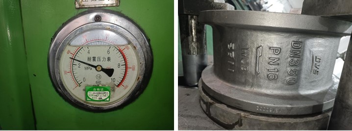Dual Plate Check Valve