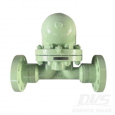 Steam Trap Valve