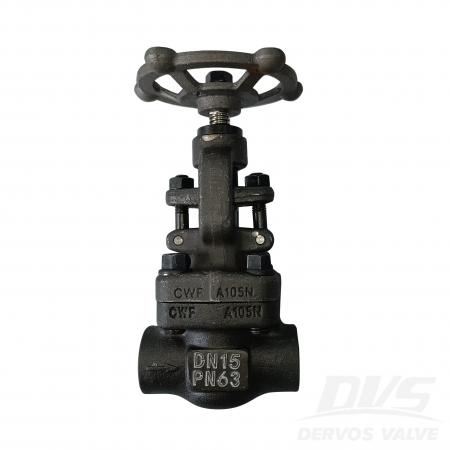 DN15 Forged Steel Globe Valve