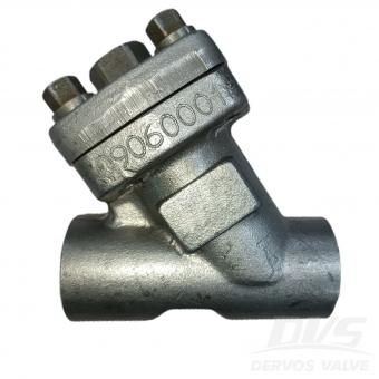 مصفاة من النوع Y F53 NPT BB