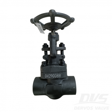 Forged Steel Globe Valve