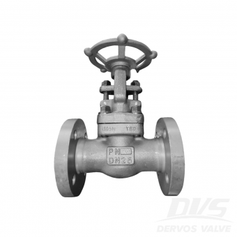 صمام بوابة من الفولاذ المزور DN25 PN40