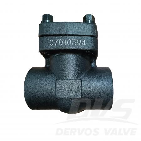 Swing Check Valve