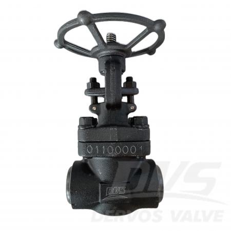 صمام بوابة من الفولاذ المزور DN50 PN25 A105N BS5352