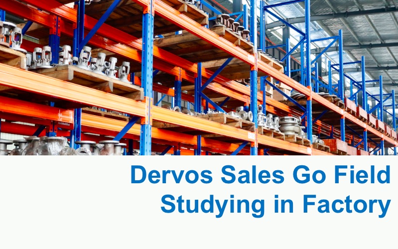  Dervos تذهب المبيعات إلى الدراسة الميدانية في المصنع