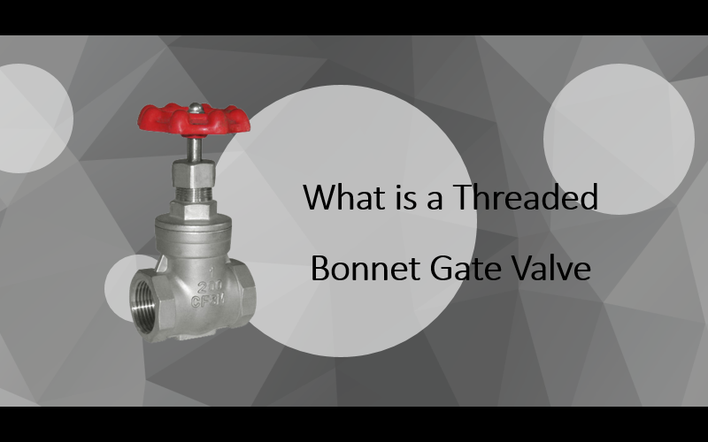 What is a Threaded Bonnet Gate Valve?